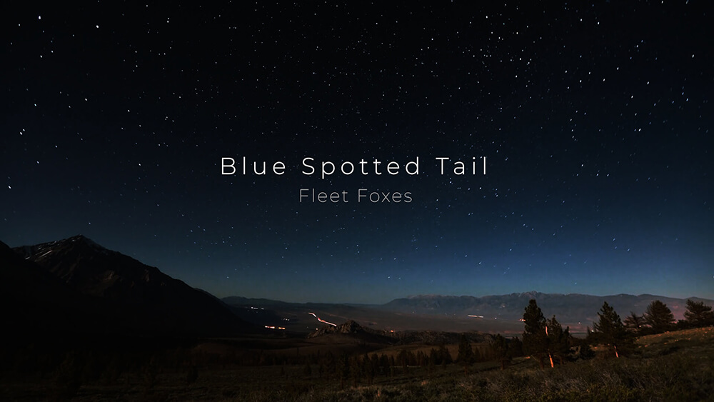 [Vietsub Lyrics] Blue Spotted Tail  - Fleet Foxes
